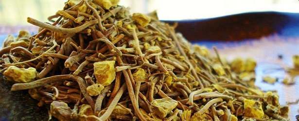 Goldenseal Root: Antibiotic