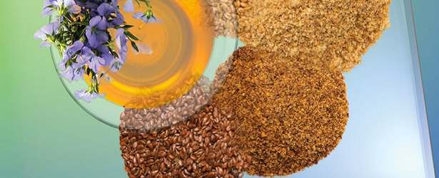 Health Benefits of Flaxseed